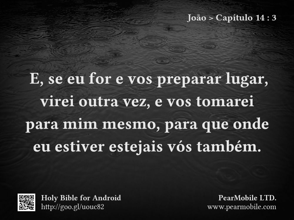João, Capítulo 14:3